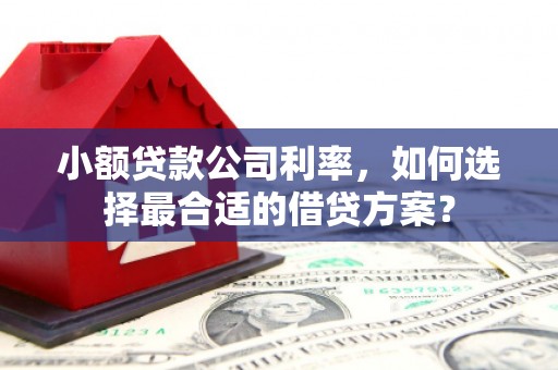 湖内小额贷款公司利率，如何选择最合适的借贷方案？