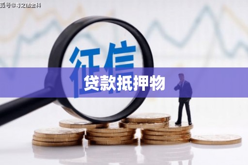 湖内贷款抵押物
