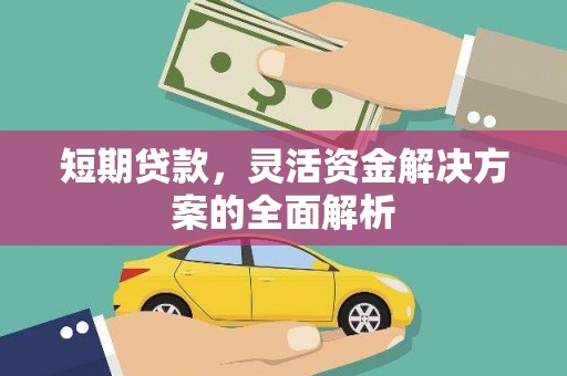 湖内短期贷款，灵活资金解决方案的全面解析