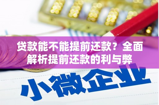 湖内贷款能不能提前还款？全面解析提前还款的利与弊