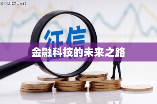 湖内金融科技的未来之路
