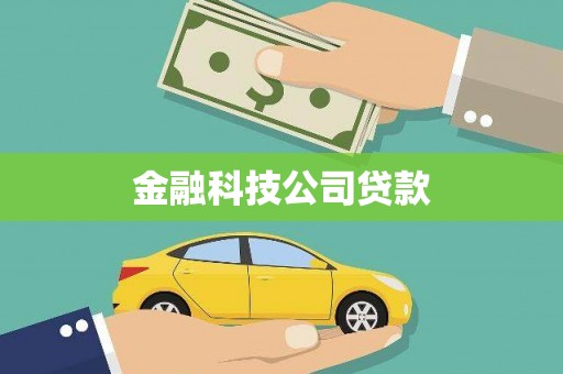 湖内金融科技公司贷款