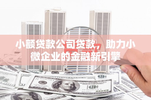 湖内小额贷款公司贷款，助力小微企业的金融新引擎