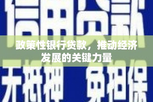 湖内政策性银行贷款，推动经济发展的关键力量