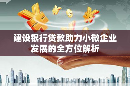 湖内建设银行贷款助力小微企业发展的全方位解析