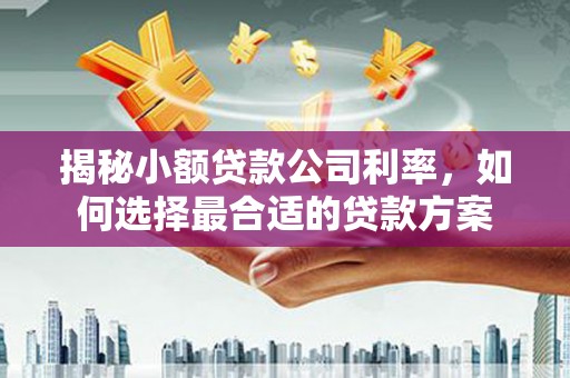 湖内揭秘小额贷款公司利率，如何选择最合适的贷款方案