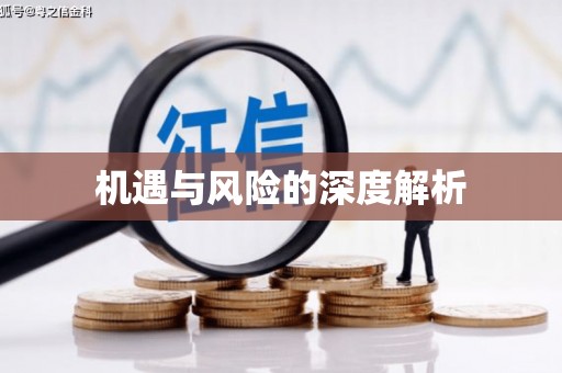 湖内机遇与风险的深度解析