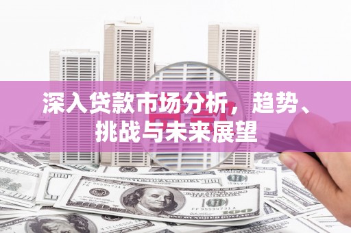 湖内深入贷款市场分析，趋势、挑战与未来展望