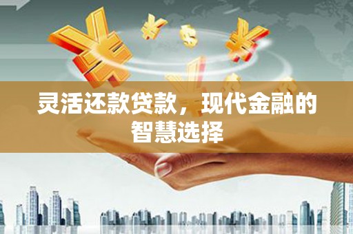 湖内灵活还款贷款，现代金融的智慧选择