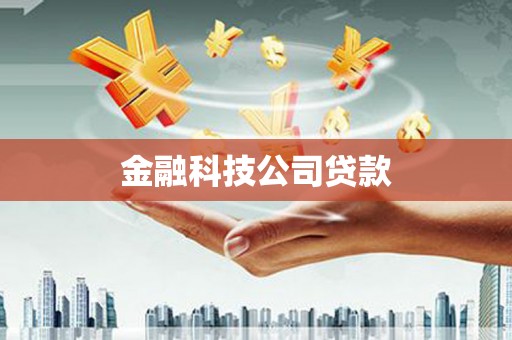 湖内金融科技公司贷款