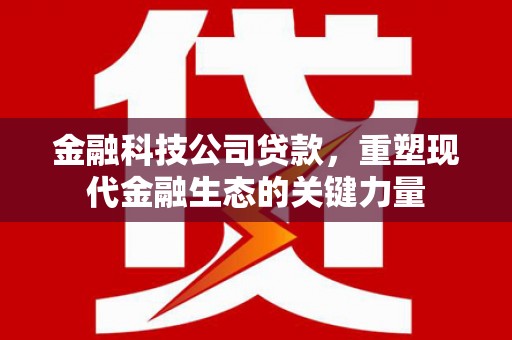 湖内金融科技公司贷款，重塑现代金融生态的关键力量