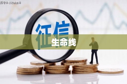 湖内生命线