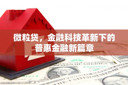 湖内微粒贷，金融科技革新下的普惠金融新篇章