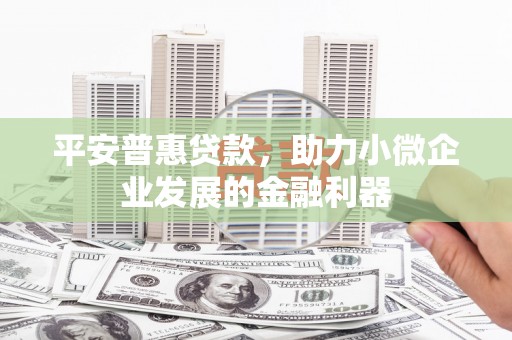 湖内平安普惠贷款，助力小微企业发展的金融利器