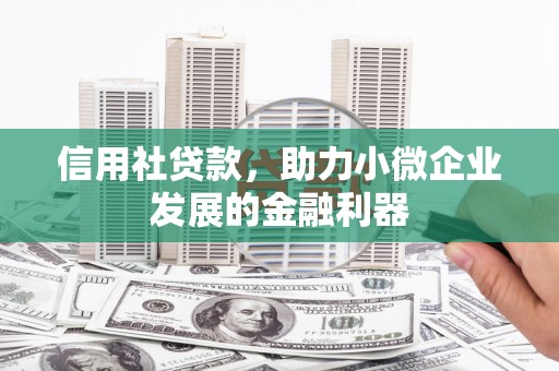湖内信用社贷款，助力小微企业发展的金融利器