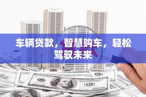 湖内车辆贷款，智慧购车，轻松驾驭未来