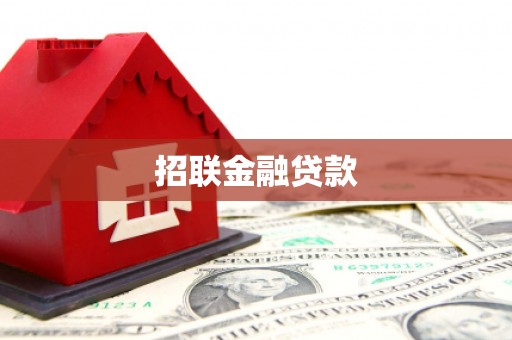 湖内招联金融贷款