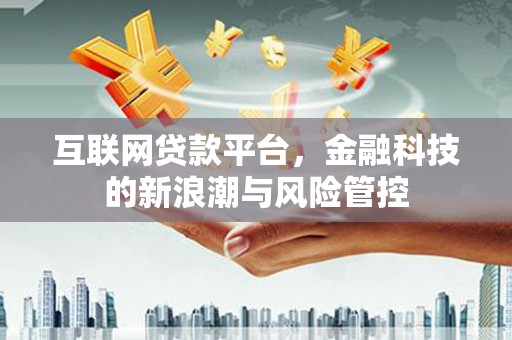 湖内互联网贷款平台，金融科技的新浪潮与风险管控