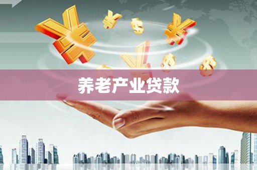 湖内养老产业贷款