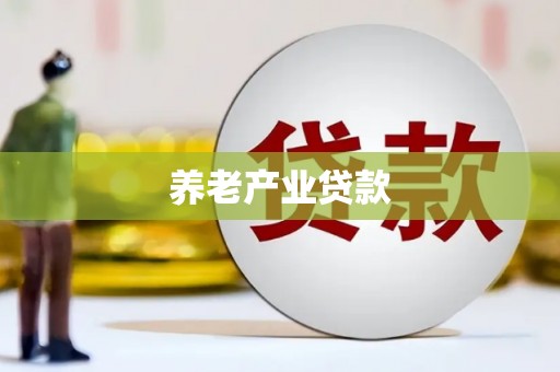 湖内养老产业贷款