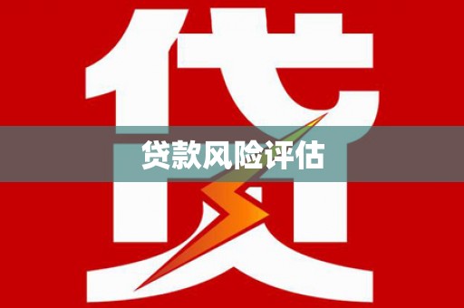 湖内贷款风险评估