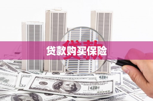湖内贷款购买保险