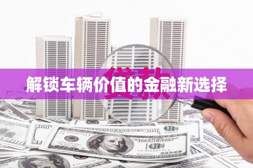 湖内解锁车辆价值的金融新选择