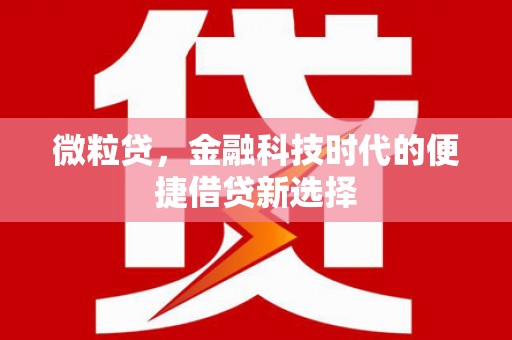 湖内微粒贷，金融科技时代的便捷借贷新选择