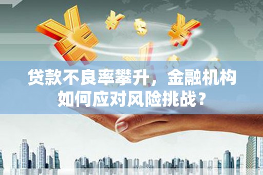 湖内贷款不良率攀升，金融机构如何应对风险挑战？