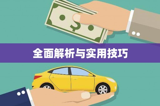 湖内全面解析与实用技巧