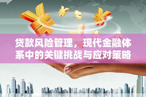 湖内贷款风险管理，现代金融体系中的关键挑战与应对策略