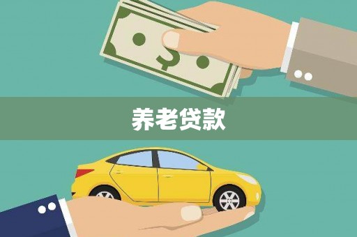湖内养老贷款