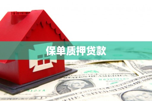 湖内保单质押贷款
