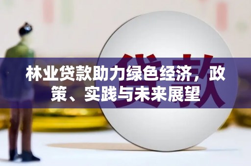 湖内林业贷款助力绿色经济，政策、实践与未来展望