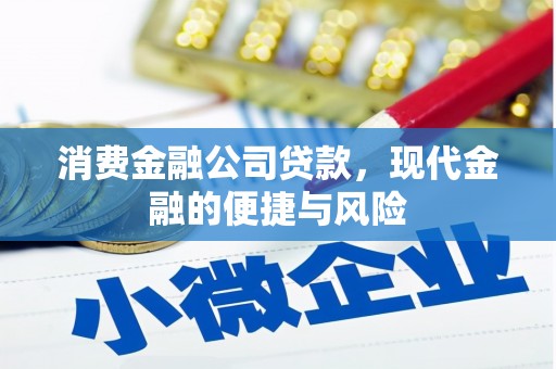 湖内消费金融公司贷款，现代金融的便捷与风险