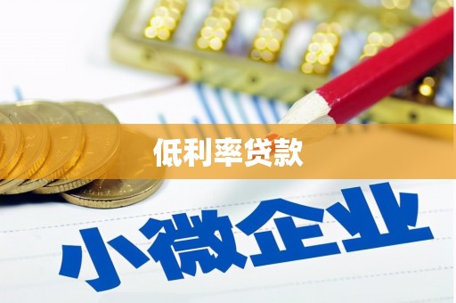 湖内低利率贷款