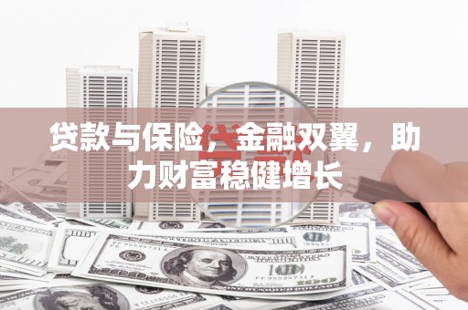 湖内贷款与保险，金融双翼，助力财富稳健增长