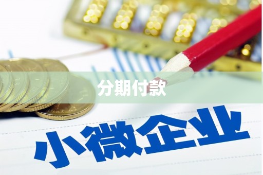 湖内分期付款