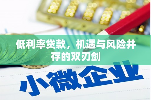 湖内低利率贷款，机遇与风险并存的双刃剑