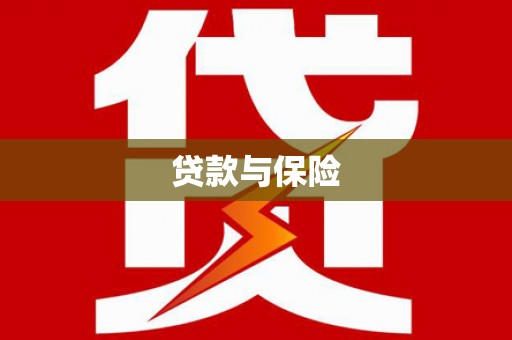 湖内贷款与保险