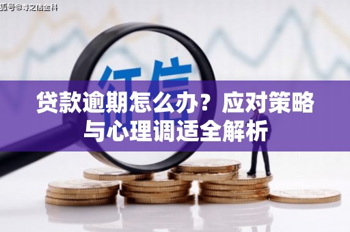 湖内贷款逾期怎么办？应对策略与心理调适全解析