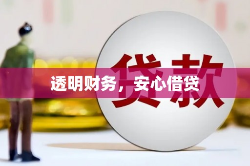 湖内透明财务，安心借贷