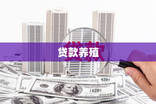 湖内贷款养殖