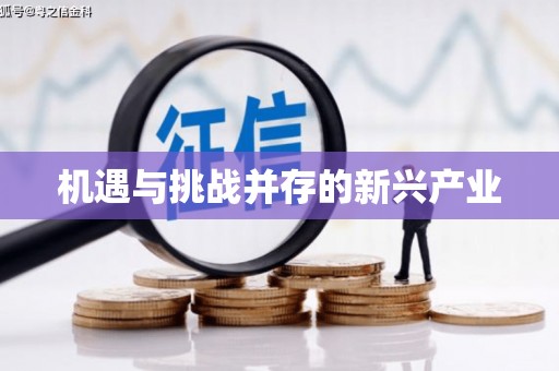 湖内机遇与挑战并存的新兴产业