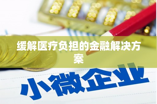 湖内缓解医疗负担的金融解决方案
