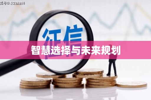 湖内智慧选择与未来规划