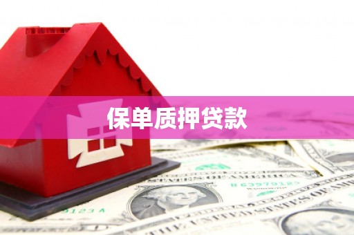 湖内保单质押贷款