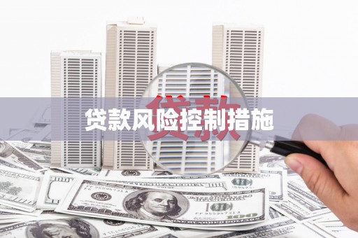 湖内贷款风险控制措施