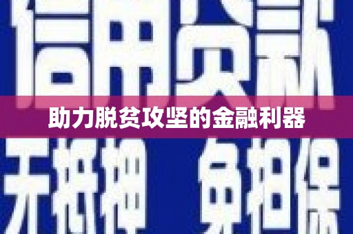 湖内助力脱贫攻坚的金融利器
