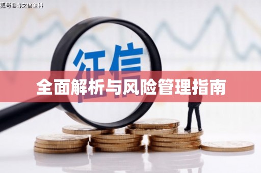 湖内全面解析与风险管理指南